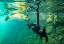 portable fish finder