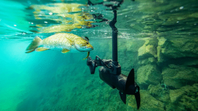 portable fish finder